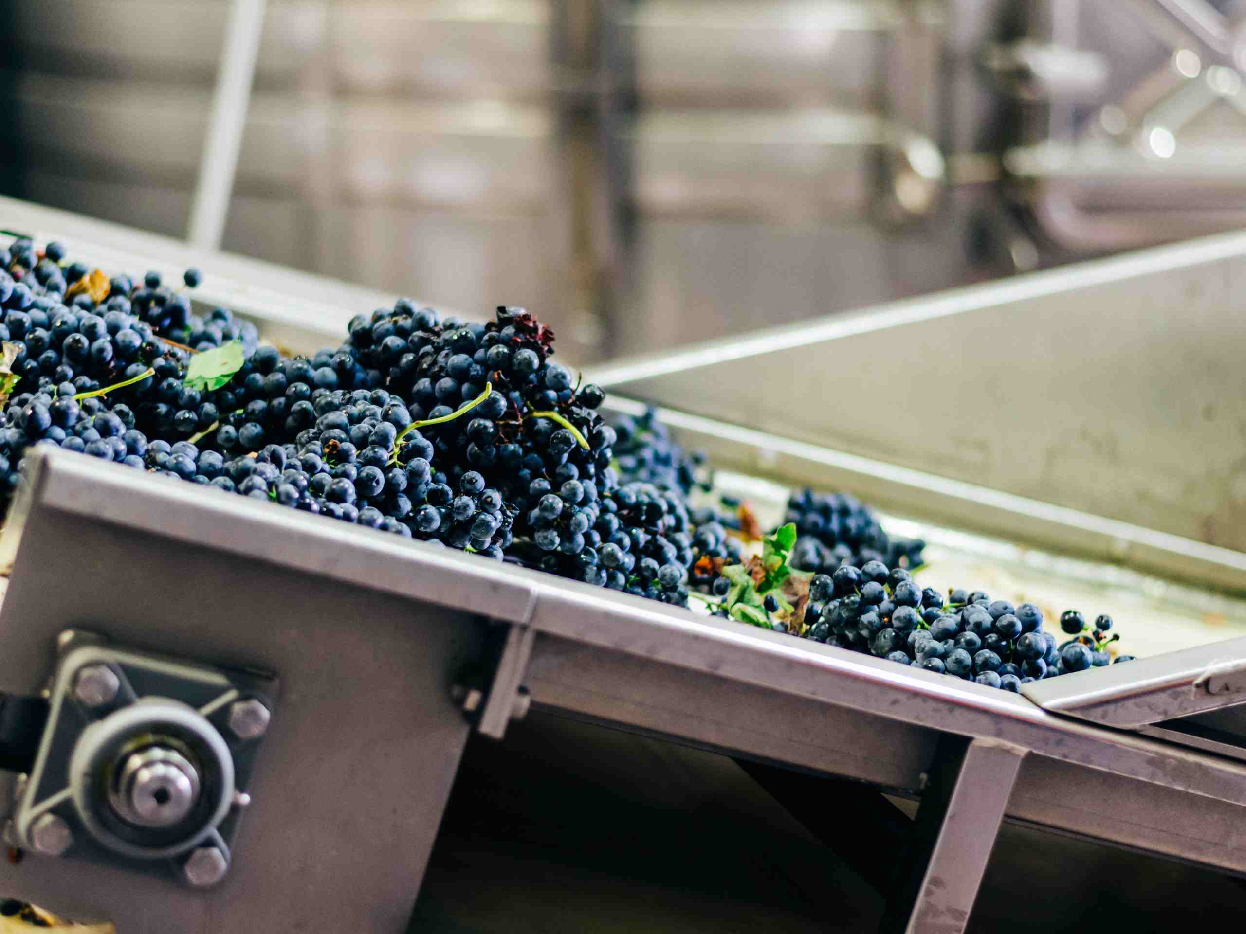 Winery Solutions